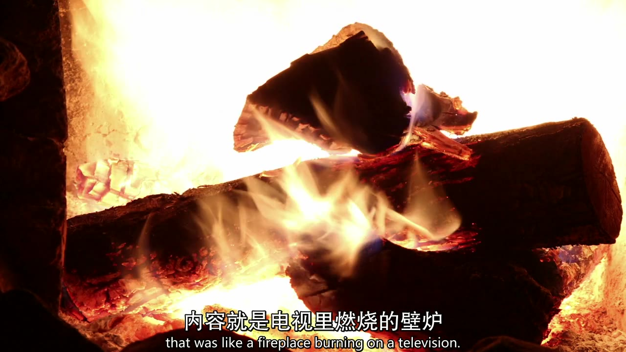 【纪录片】【网飞对抗全世界】【2019】【中英字幕】